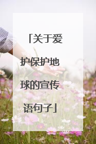 关于爱护保护地球的宣传语句子