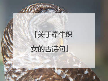 关于牵牛织女的古诗句