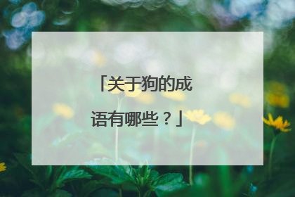关于狗的成语有哪些？