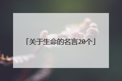 关于生命的名言20个