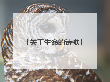 关于生命的诗歌