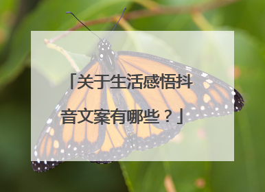 关于生活感悟抖音文案有哪些?