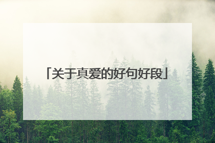 关于真爱的好句好段