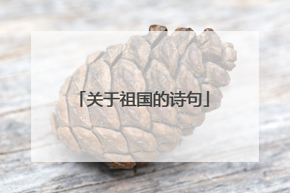 关于祖国的诗句