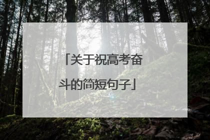 关于祝高考奋斗的简短句子
