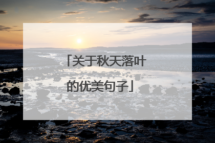 关于秋天落叶的优美句子