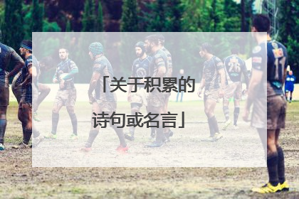 关于积累的诗句或名言