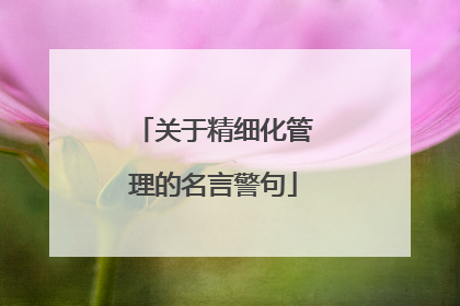 关于精细化管理的名言警句