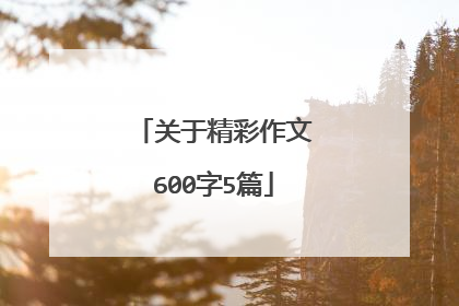 关于精彩作文600字5篇