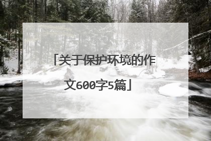 关于保护环境的作文600字5篇