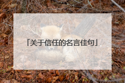 关于信任的名言佳句