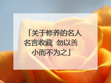 关于修养的名人名言收藏 勿以善小而不为之