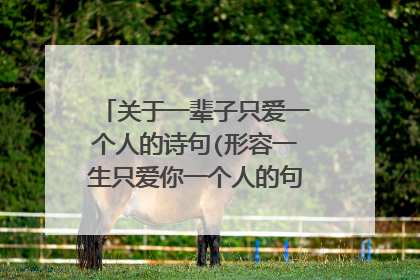 关于一辈子只爱一个人的诗句(形容一生只爱你一个人的句子有哪些)