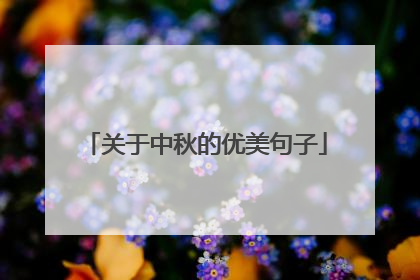 关于中秋的优美句子