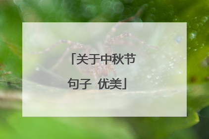 关于中秋节句子 优美