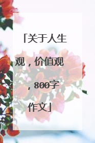 关于人生观,价值观,800字作文