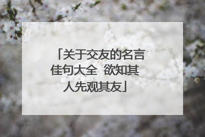 关于交友的名言佳句大全 欲知其人先观其友