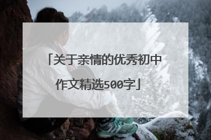 关于亲情的优秀初中作文精选500字
