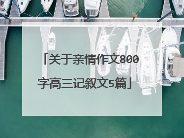 关于亲情作文800字高三记叙文5篇