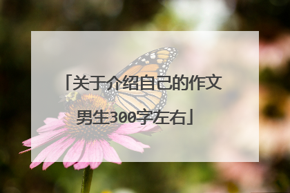 关于介绍自己的作文男生300字左右