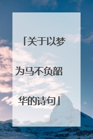 关于以梦为马不负韶华的诗句