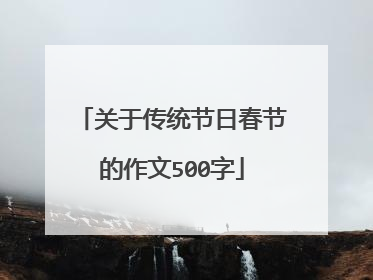 关于传统节日春节的作文500字