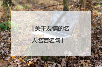 关于友情的名人名言名句