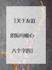 关于友谊的短句暖心八个字的