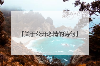 关于公开恋情的诗句