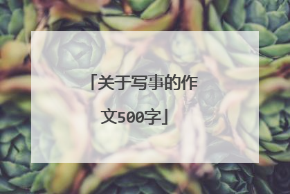 关于写事的作文500字