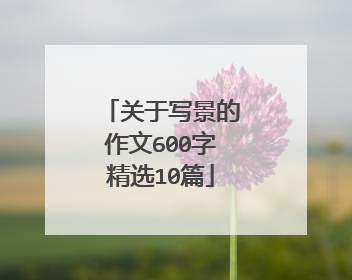 关于写景的作文600字精选10篇