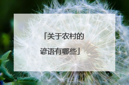 关于农村的谚语有哪些