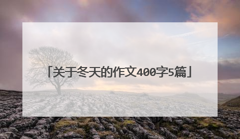 关于冬天的作文400字5篇