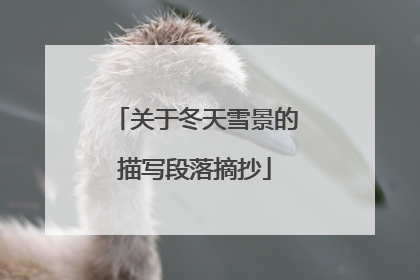 关于冬天雪景的描写段落摘抄