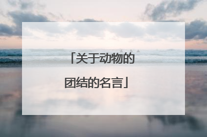 关于动物的团结的名言