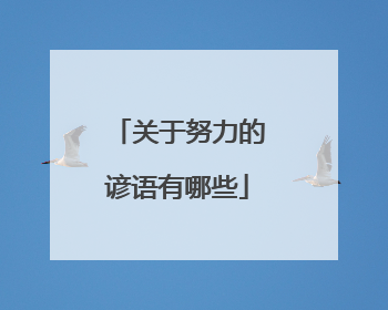 关于努力的谚语有哪些