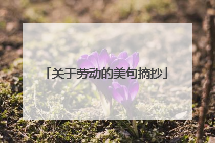 关于劳动的美句摘抄