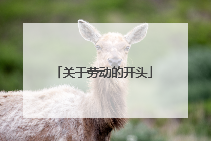 关于劳动的开头