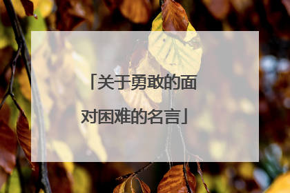 关于勇敢的面对困难的名言