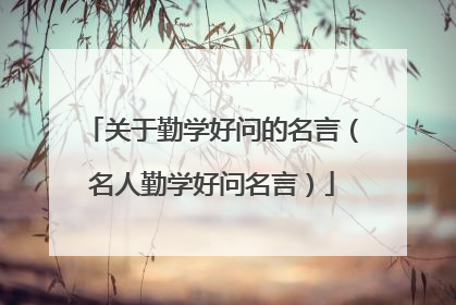 关于勤学好问的名言（名人勤学好问名言）