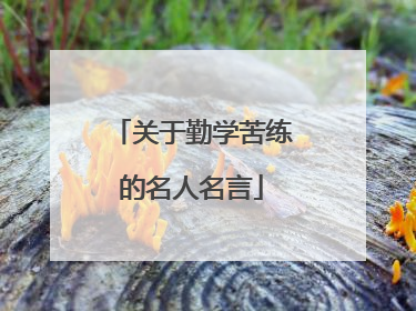 关于勤学苦练的名人名言