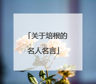 关于培根的名人名言