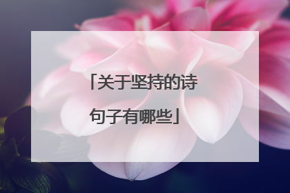 关于坚持的诗句子有哪些