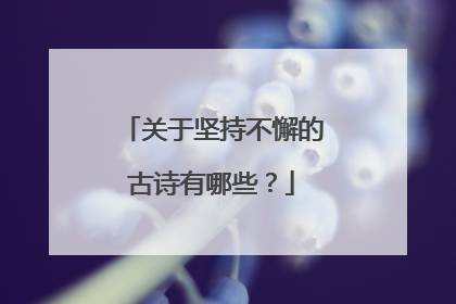 关于坚持不懈的古诗有哪些？