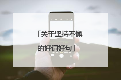 关于坚持不懈的好词好句