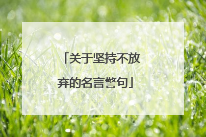 关于坚持不放弃的名言警句