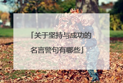 关于坚持与成功的名言警句有哪些