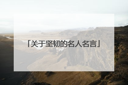 关于坚韧的名人名言