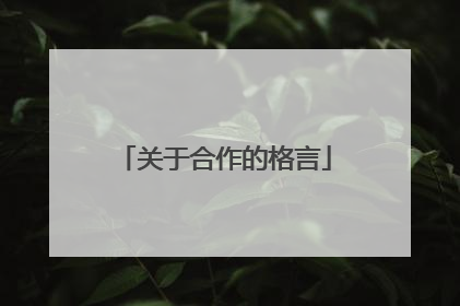 关于合作的格言