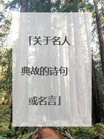 关于名人典故的诗句或名言